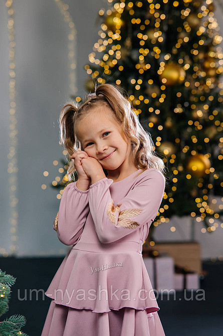 Дитяче плаття з вишивкою на рукавах Поділля-колоски Кривий Ріг - фото 14