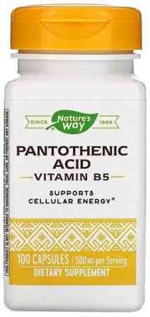 Пантотенова кислота Вітамін B5 Nature's Way Pantothenic Acid 250 мг 100 капсул Київ