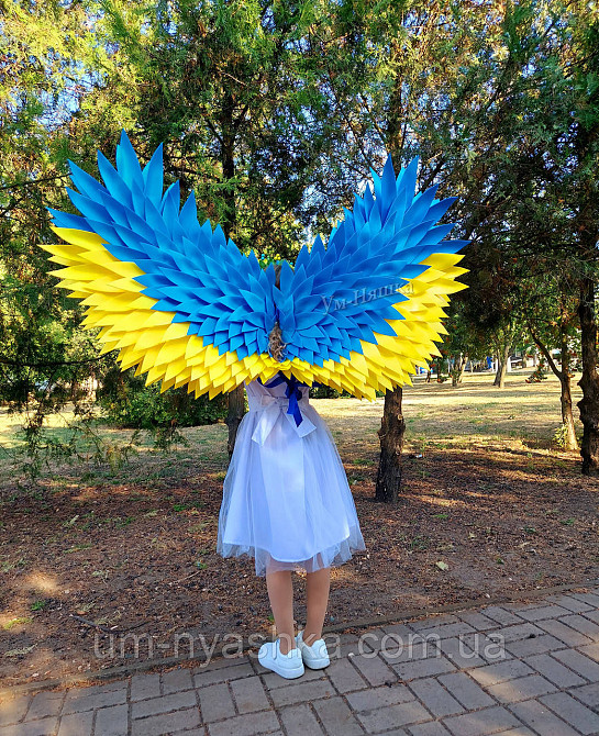 Крылья Ангела большие гибкие украинские Ангел Украины Кривой Рог - изображение 4