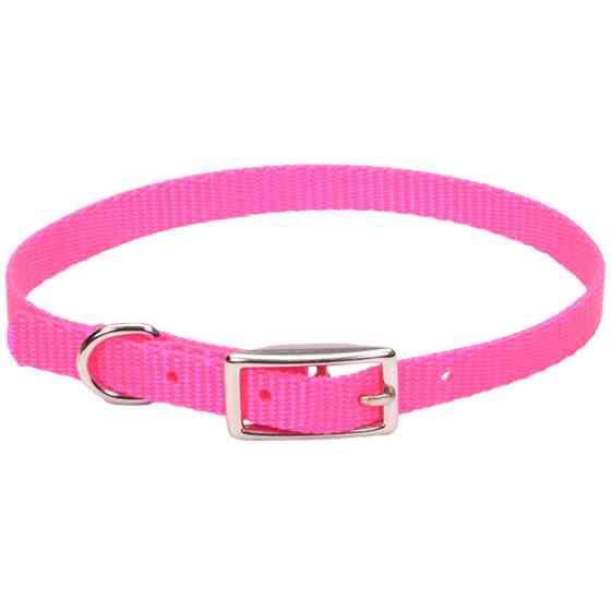 Coastal Nylon Web КОСТАЛ НАЙЛОН ВЕБ ошейник для собак,1х30см Киев