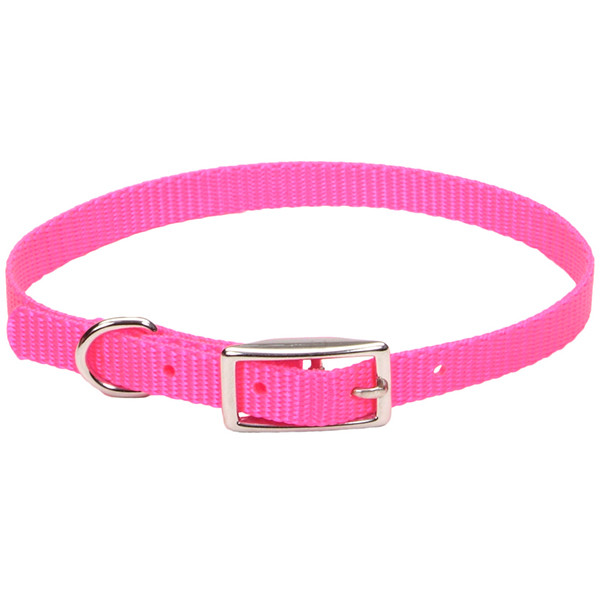 Coastal Nylon Web КОСТАЛ НАЙЛОН ВЕБ ошейник для собак,1х30см Киев - изображение 1