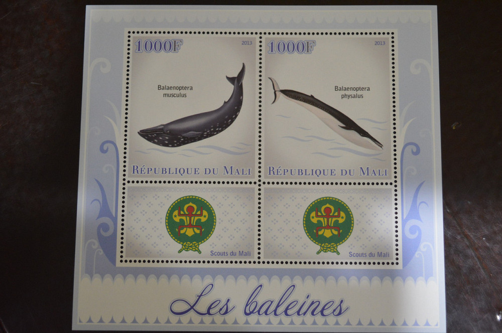 Мали. Марки. Фауна. Блок. 2013 год (В-3) Полтава - изображение 1