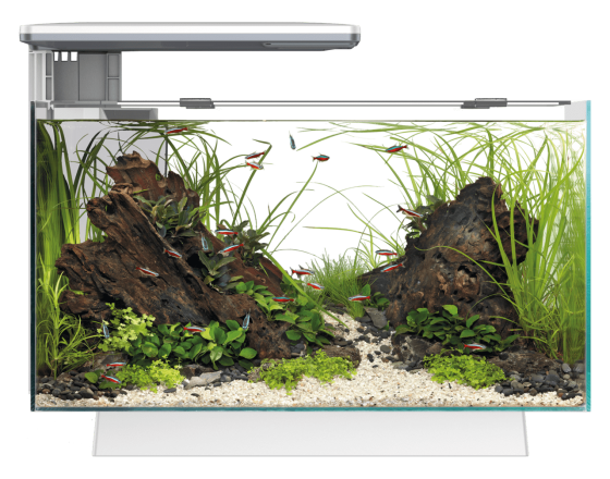 Акваріумний набір SuperFish Quadro 40 Pro White (A4052200) Київ