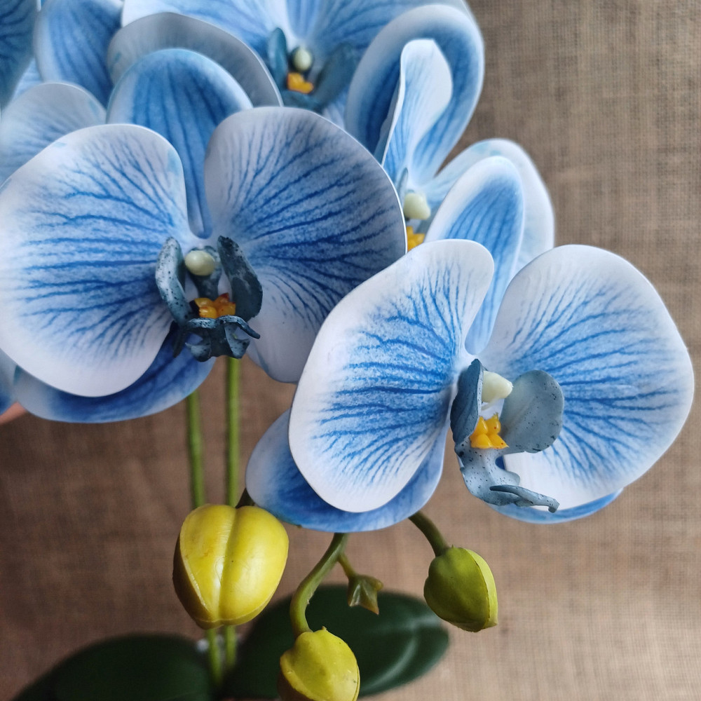 Штучна латексна орхідея VIP у білому керамічному кашпо на дві гілки блакитна Дніпро - фото 3