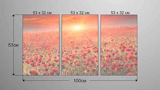 Модульна картина Природа Маки Art-65_3А Київ