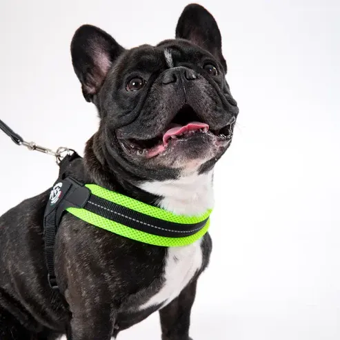 Анатомічна шлея для собак Tre Ponti Fluo Mesh Harness (з регулюванням на животі) Розмір 4 Луцк - изображение 2