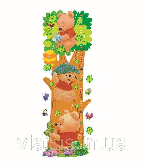 Наклейка ростомір на стіну Вінні Пух Київ - фото 2