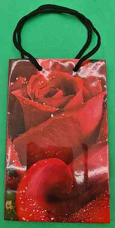 Пакет паперовий подарунковий малий 11/18/5 (арт М056) (12 шт.) Харків