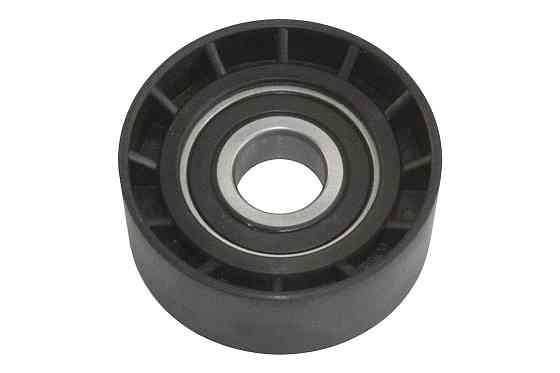 Ролик генератора паразитний 60/17mm h25mm Peugeot 1,9 D (DW8) (575173) GP RAT2145 Київ