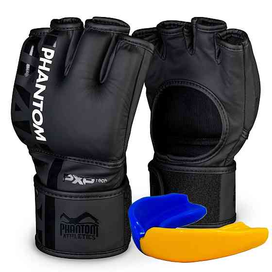 Рукавиці для ММА Phantom APEX Black L/XL (капа у подарунок) Кам'янське