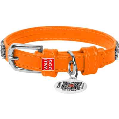 Ошейник для животных WAUDOG Glamour с QR-паспортом "Стразы" XS Ш 12 мм оранжевый (33084) Винница