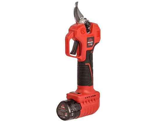 Секатор акумуляторний Master AG 1225ck BL Kit кейс ТМ VITALS Київ