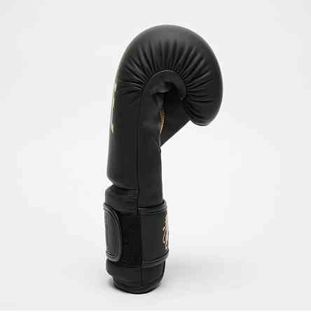 Боксерські рукавички Leone Mono Black 10 ун. Каменское