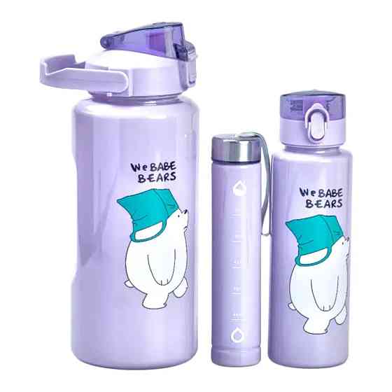 Happy Life Набір пляшок 3 в 1 Панда з поїлкою і ручкою 0.3 (л) 0.7 (л) 2 (л) Фіолетовий HPZSB12 Коломия