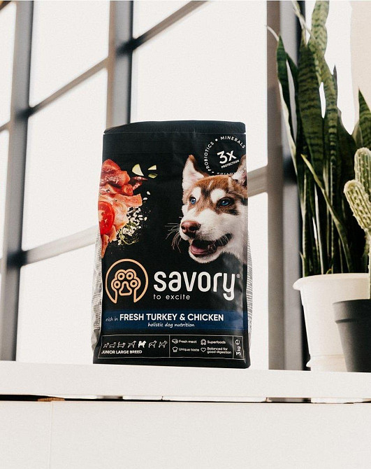 Сухой корм Сейвори Savory Junior Large Fresh Turkey&Chicken (индейка и курица) для щенков больших пород, 12 кг Винница - изображение 4