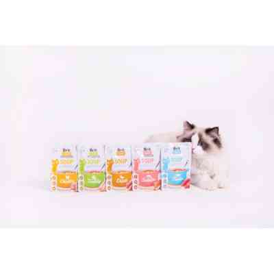 Влажный корм для кошек Brit Care Soup with Salmon с лососем 75 г (8595602569212) Винница