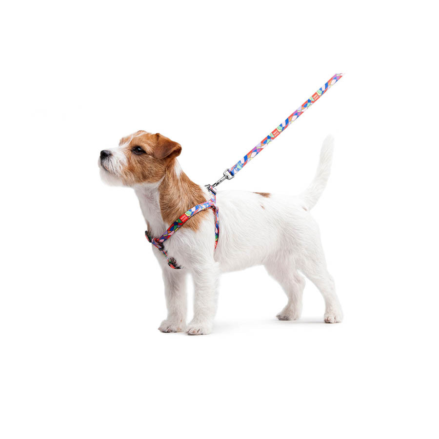 Повідець для собак нейлоновий WAUDOG Nylon, малюнок "Вітраж", Ш 15 мм, Дов 122 см Коломия - фото 2