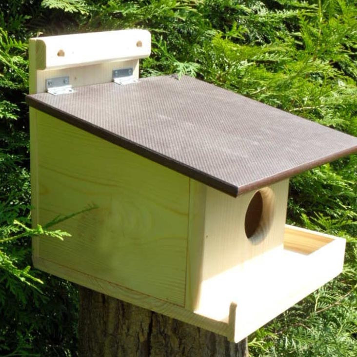 Будиночок для білок "Кокос" бланже-капучино Миколаїв - фото 3