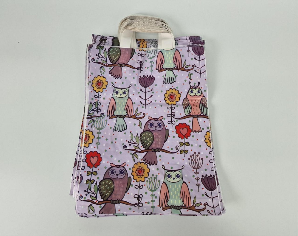 Пакет із петльовою ручкою спр "Сови" (30х40) Ліоні (50 шт.) Харків - фото 1