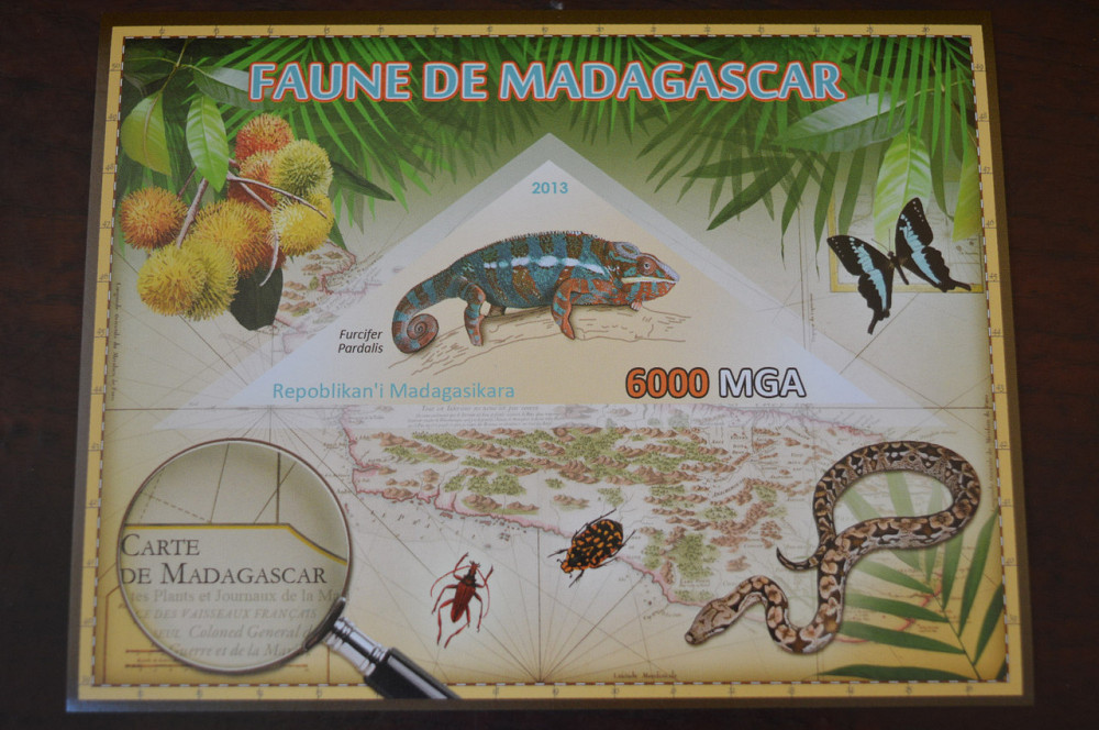 Мадагаскар. Фауна. Личности. Блок. 2014 р. (А-34) Полтава - фото 1