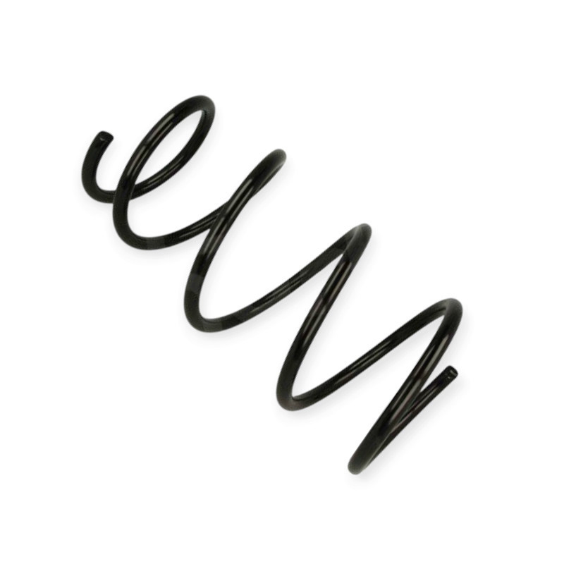 Пружина Renault Megane Scenic, Scenic I 1.9-2.0i, D (97-03) передняя Мукачево - изображение 1