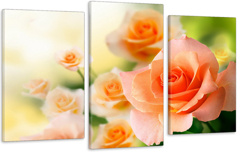 Модульная картина в гостиную / спальню  Троянди Art-539_3 Киев - изображение 1