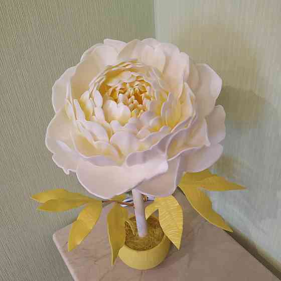 Світильник-нічник "Сонячний півонія" Дніпро