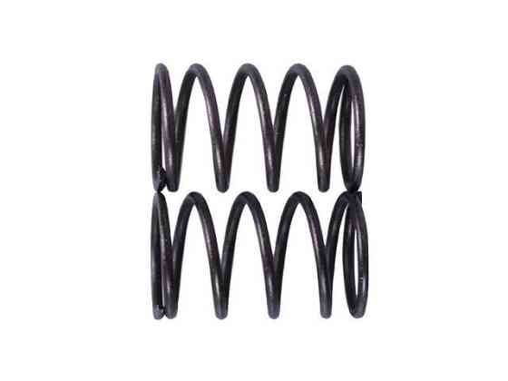 Пружины клапанов, пара - P65F (ZS) Мукачево