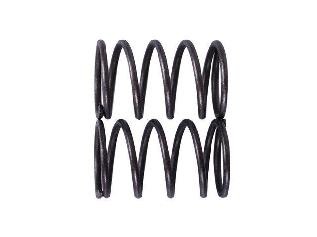 Пружины клапанов, пара - P65F (ZS) Мукачево - изображение 2