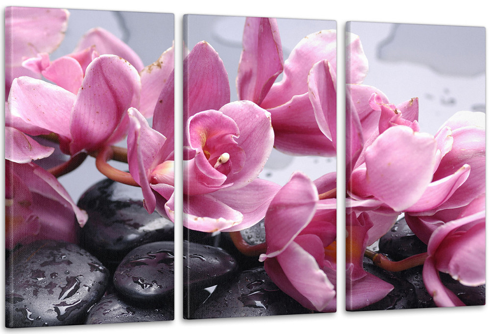 Модульна картина Колір Art-16_3А 70x130 см Київ - фото 1