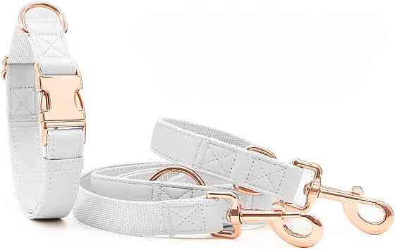 Набір нашийник та повідець розмір XS Луцк