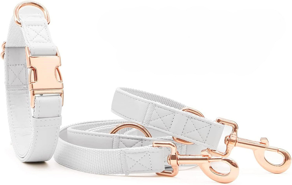 Набір нашийник та повідець розмір XS Луцк - изображение 1