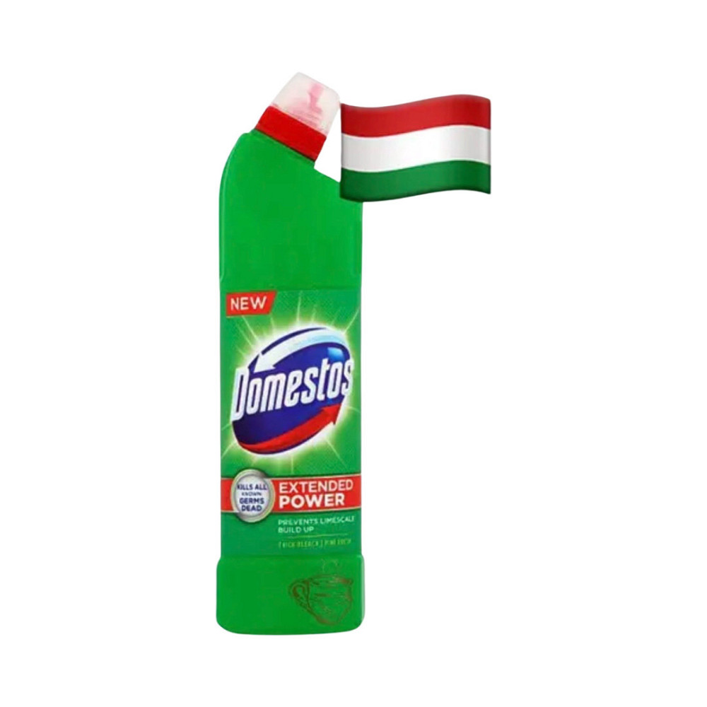 Рідина для дезінфекції Domestos Forest 750 мл Виноградів - фото 1