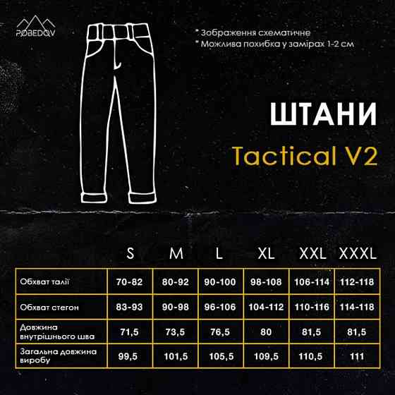 Мужские тактические брюки зсу летние Pobedov Tactical V2, военные штаны карго с карманами армейские черные Одесса