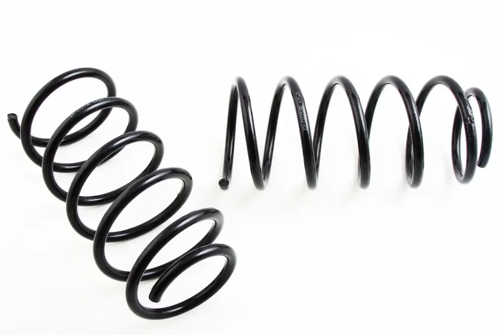 Пружины Lacetti задние EuroEx Винница - изображение 1