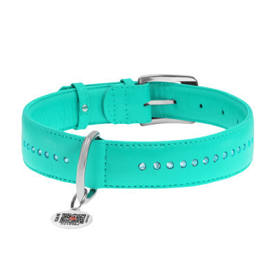 Нашийник для тварин WAUDOG Glamour з QR-паспортом, подвійний Ш 15 мм Д 27-36 см ментоловий (387413) Вінниця - фото 2
