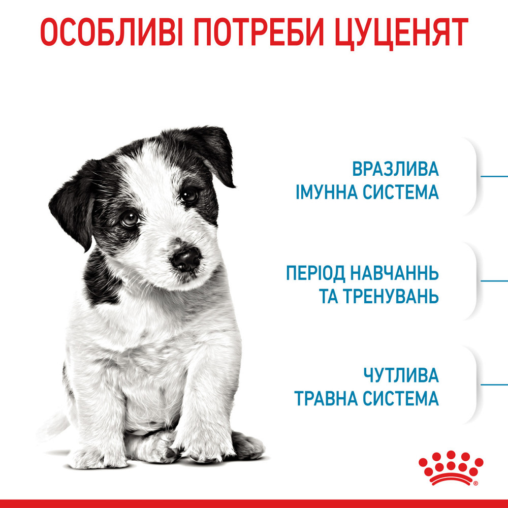 Корм для цуценят малих порід ROYAL CANIN MINI PUPPY 0.8 кг Київ - фото 3