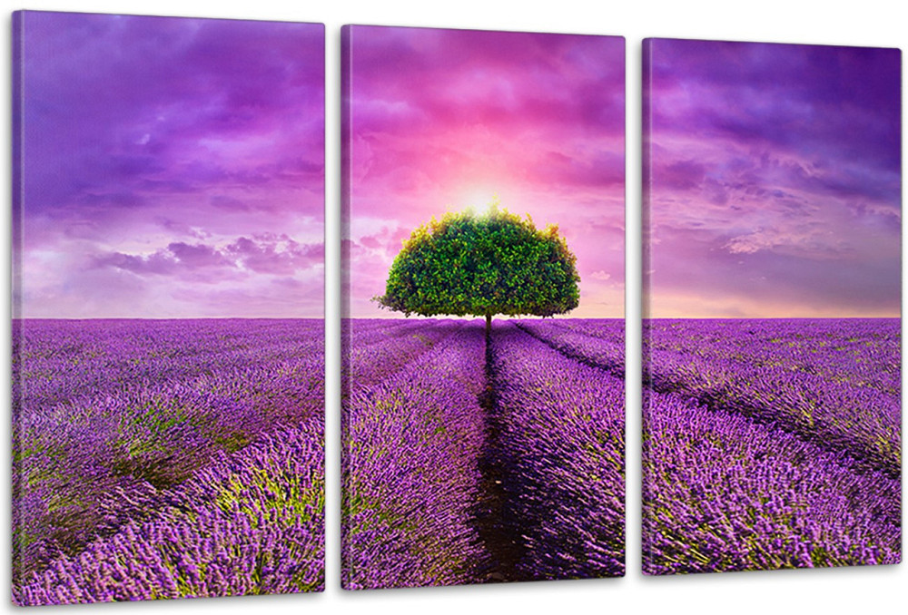 Модульна картина у вітальню/ спальню    Лавандове поле    ART-197_3A 70х130 см Київ - фото 1