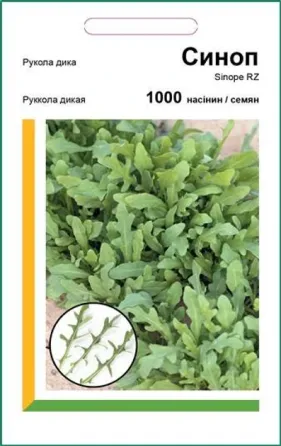 Семена Салат Руккола Синоп 1000сем Rijk Zwaan Винница