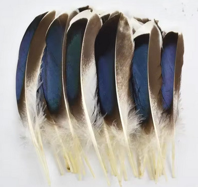 Перья декортивной утки натуральные 20 шт Киев - изображение 1