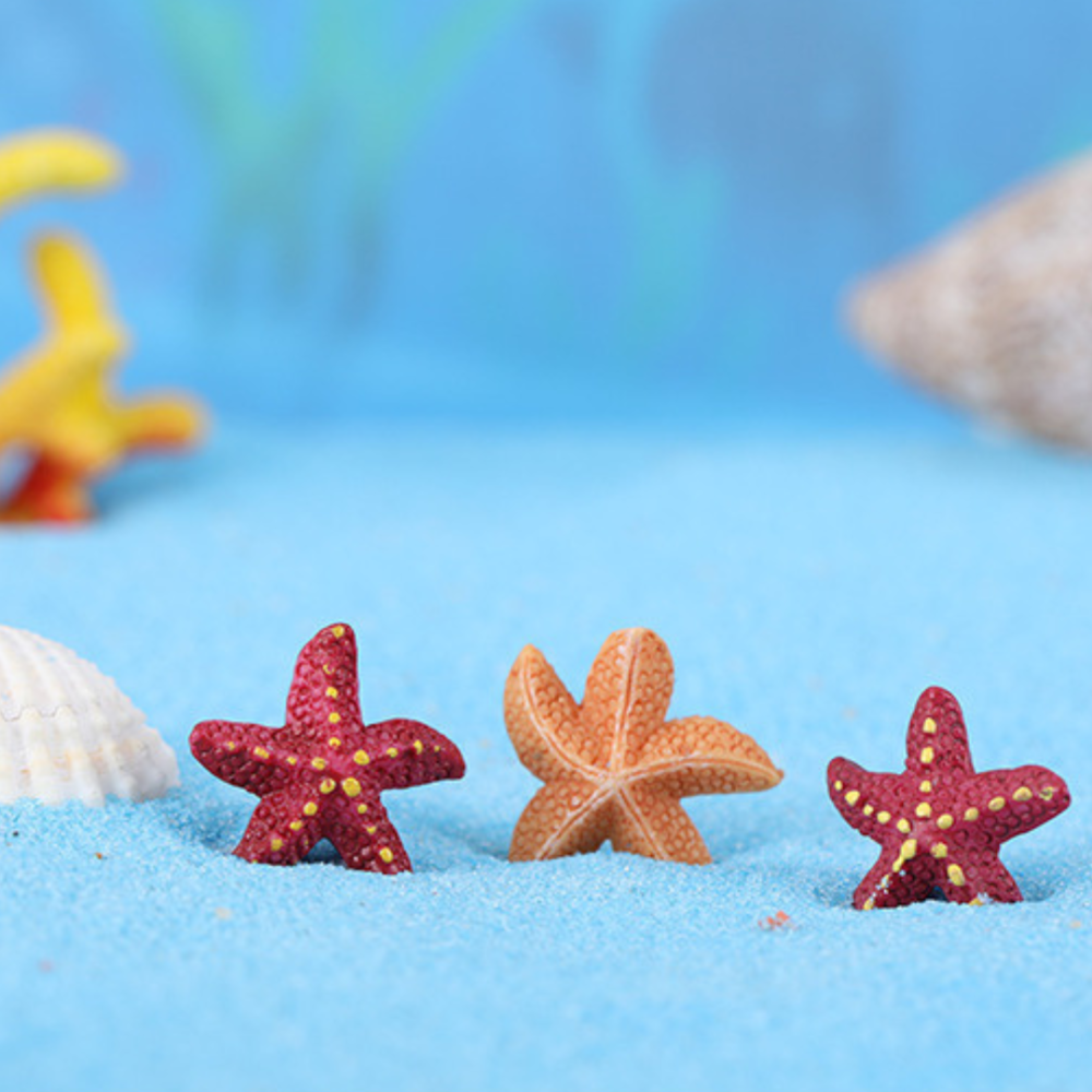 Декоративная Морская звезда для флорариума, минм-сада, микроландшафта, песочного стола, аквариума Одесса - изображение 9
