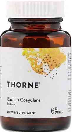Пробіотик Thorne Bacillus Coagulans 60 капс Київ
