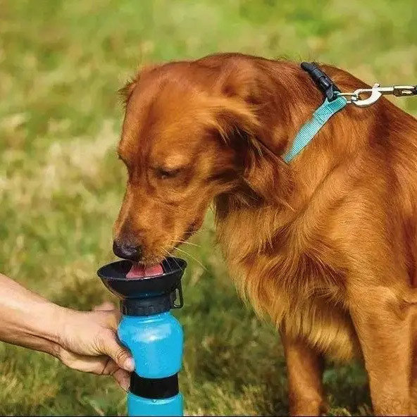 Поилка для собак дорожная переносная Aqua Dog 537 мл портативная бутылка для крупных и мелких собак FS-97 JM-40 Львов - изображение 1