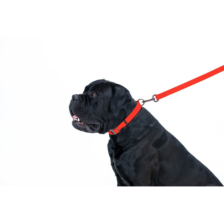Повідець для собак водостійкий WAUDOG Waterproof, L-XXL, Ш 25 мм, Дов 122 см червоний Коломия - фото 3