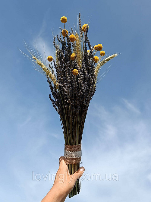 Букет из лаванды и пшеницы h 50см Ирпень - изображение 2