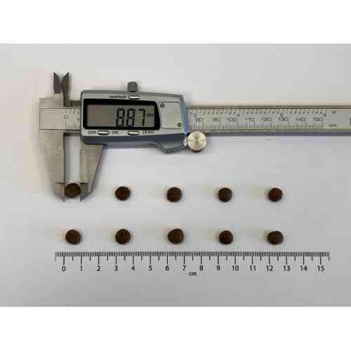 Корм сухий Brit Care Grain Free Mini Sensitive для собак мініатюрних порід з чутливим травленням з олениною 400 г Київ