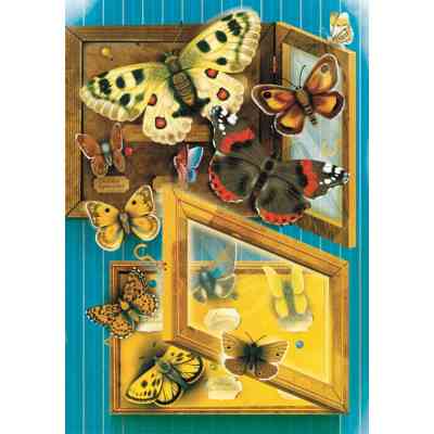 Книга Метелики перетворюються - Галина Вдовиченко Видавництво Старого Лева (9789664481349) Вінниця