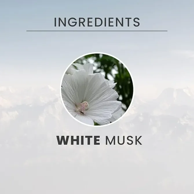Крем-піна для душу Tesori d'Oriente White Musk (Білий Мускус), 500 мл Львів - фото 2