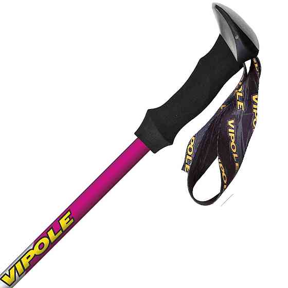 Палки трекинговые Vipole Trekker Violet (S25 11) Вінниця