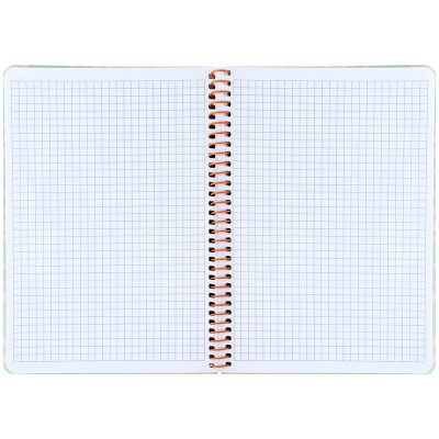 Блокнот Axent на спіралі А5 80 аркушів, клітинка, пластикова обкладинка, салатовий (8462-1-A) Вінниця - фото 3